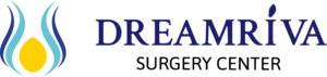 logo dreamriva for web